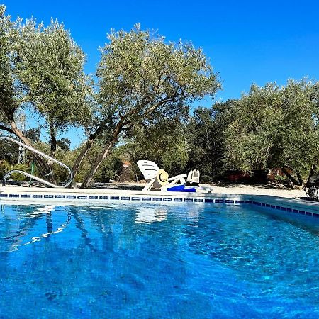 维拉努埃瓦·德·塔皮亚La Mejorana Refugio Andaluz Con Piscina Entre Olivos别墅 外观 照片