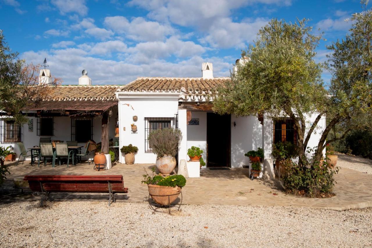 维拉努埃瓦·德·塔皮亚La Mejorana Refugio Andaluz Con Piscina Entre Olivos别墅 外观 照片